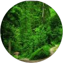 Kat F. profile picture